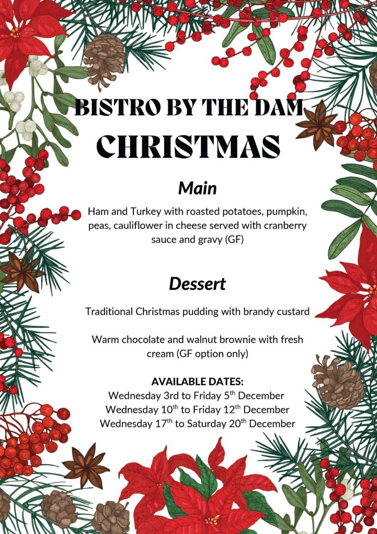 2025 December Christmas poster